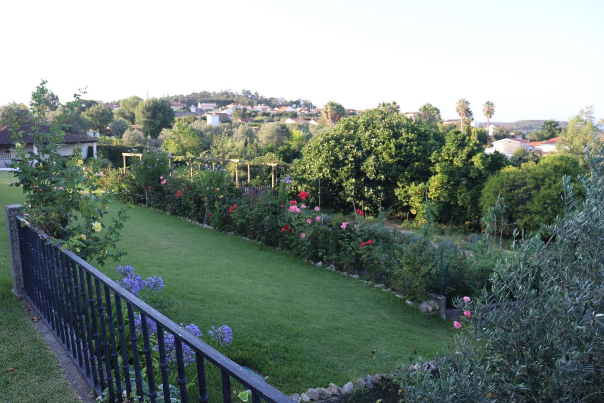 Villa Quinta Do Regalo Coimbra Exterior foto