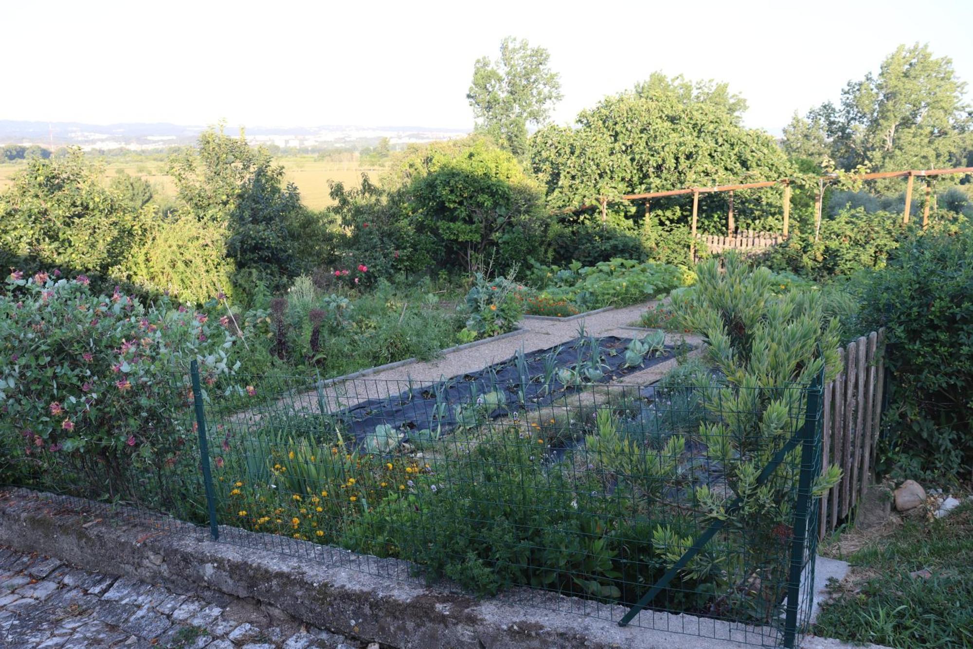 Villa Quinta Do Regalo Coimbra Exterior foto
